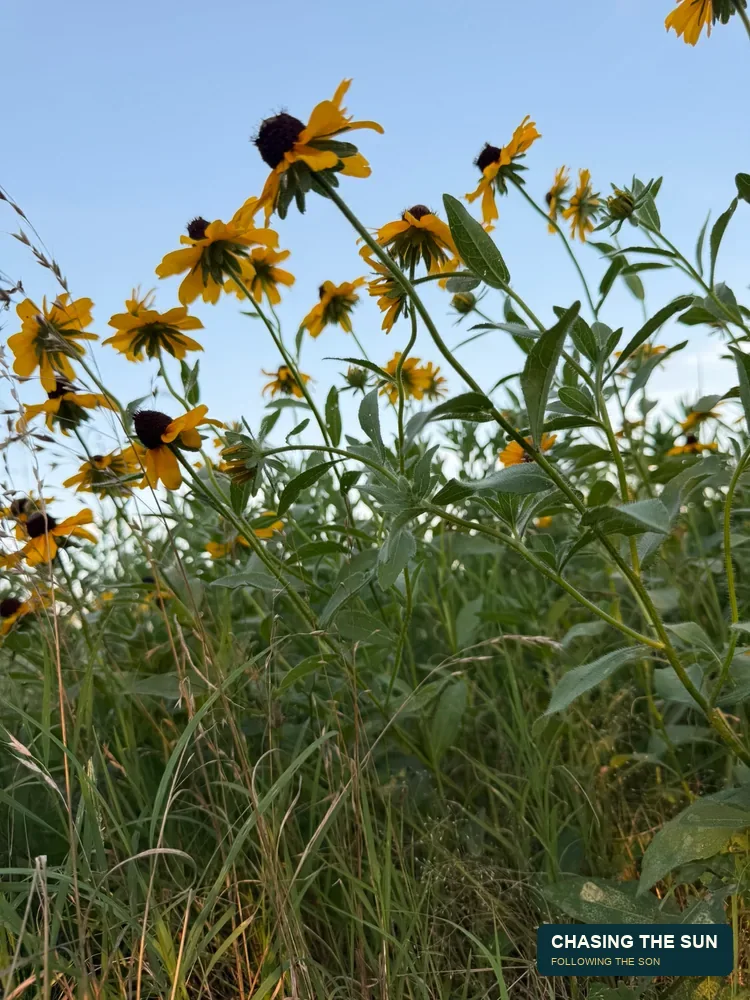 Beauty in the Little Things